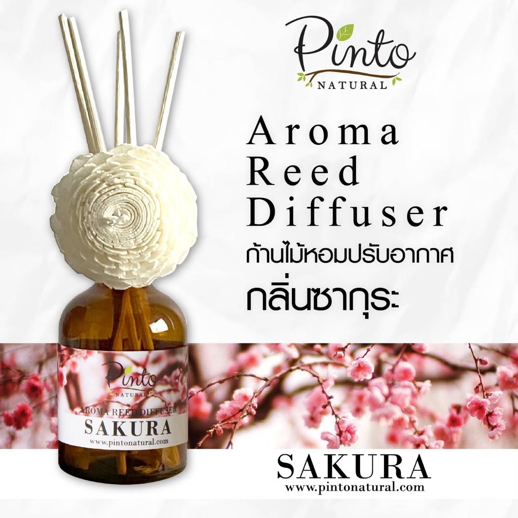 Pinto Natural Reed Diffuser Sakura ก้านไม้หอมปรับอากาศ กลิ่นซากุระ ขนาด 50ml. และ 100ml.