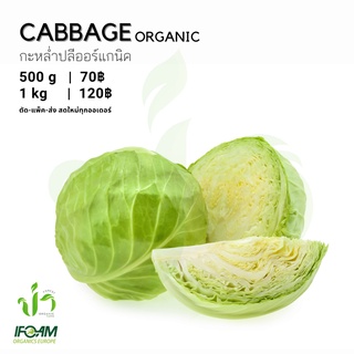 กะหล่ำปลีออร์แกนิค Organic Cabbage มาตรฐานออร์แกนิค IFOAM ผักสลัด ผักสด เก็บ-แพ็ค-ส่ง เก็บใหม่ทุกออเดอร์