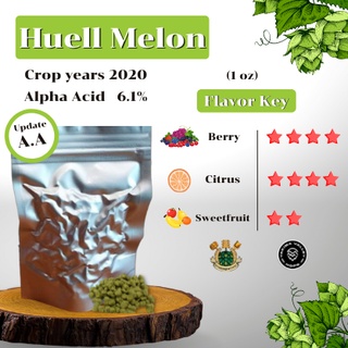 ราคาHuell Melon Hops GER (1oz) Crop years 2020 (บรรจุด้วยระบบสูญญากาศ)