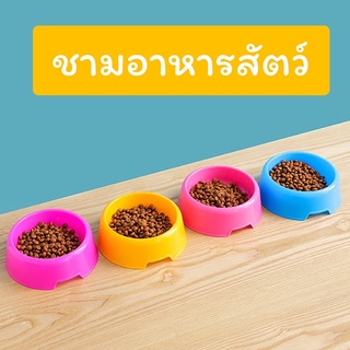 ชามอาหารสัตว์ ชามเดี่ยว ชามสัตว์เลี้ยง ชามให้อาหาร ชามใส่น้ำ ชามข้าวแมว ชามข้าวหมา ของใช้สัตว์เลี้ยง ราคาถูก สีสันสวยงาม