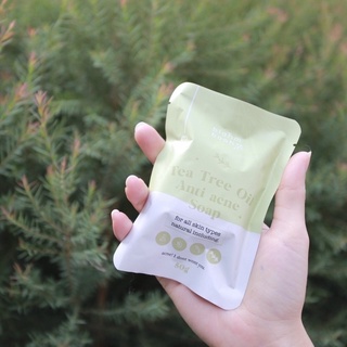 (พร้อมส่ง 1 แถม 1) สบู่ลดสิว แถม ถุงตีฟอง หน้าหลัง Tea tree oil anti acne soap blahmbloom