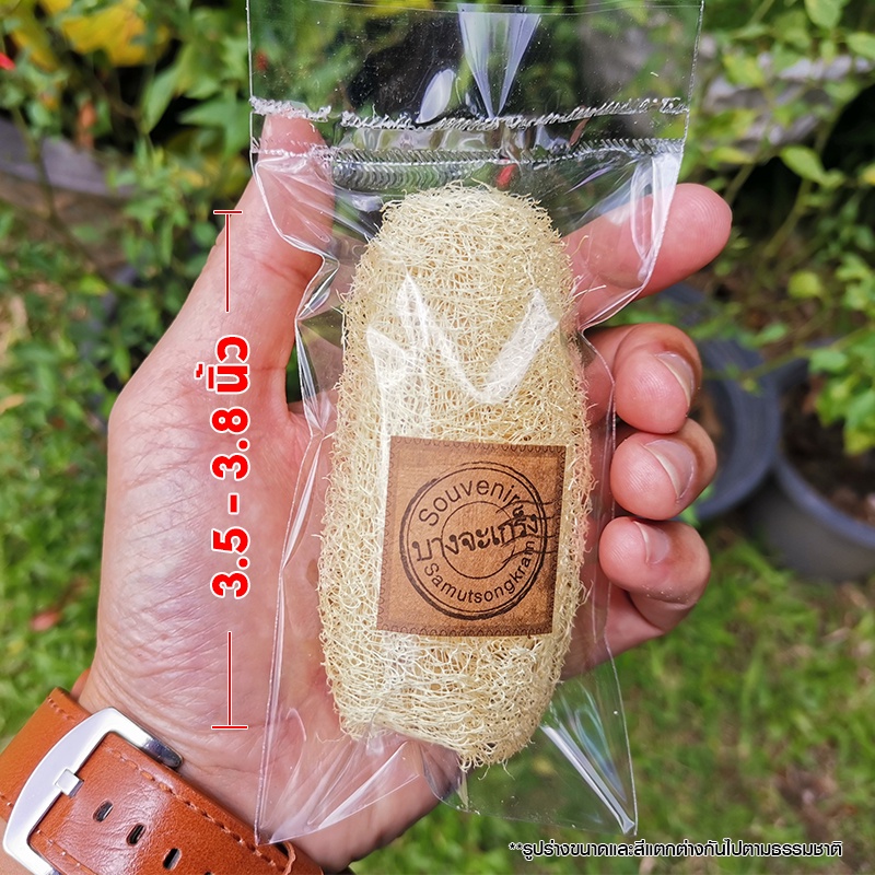 ใยบวบ ขนาด3นิ้ว ย้ำว่าขนาด3นิ้วนะคร้า สำหรับขัดส้นเท้า  ใยบวบธรรมชาติ เรือนไม้หอม Rueanmaihom