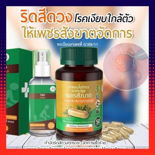 เพชรสังฆาด ริดสีดวง 1 กระปุก 50 แคปซูล ฟรี สเปรย์ริดสีดวง แบบทาน แบบพ่น 1 ขวด