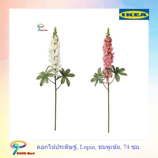 IKEA ต้นไม้ปลอม ไม้ประดิษฐ์ ดอกไม้ประดิษฐ์, Lupin, ขาว,ชมพูเข้ม 74 ซม.