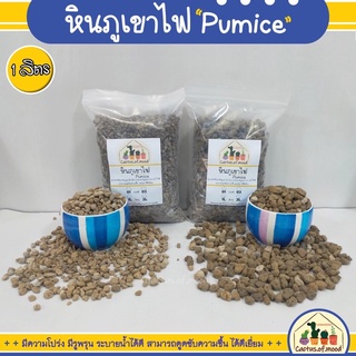 หินภูเขาไฟ วัสดุปลูก แคคตัส กระบองเพชร เบอร์01 เบอร์02 บรรจุถุง 1ลิตร พร้อมส่ง