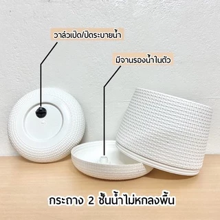 (งานนำเข้าพลาสติกหนา)ชุดเซ็ตกระถางต้นไม้+พร้อมขาตั้งตรง 6นิ้ว 8นิ้ว 10นิ้ว 14นิ้ว กระถางมีจานรองในตัวขาตั้งไม้สนอย่างดี