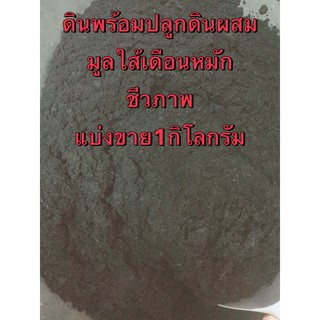 ดินพร้อมปลูกดินผสมมูลใส้เดือนหมักปุ๋ยชีวภาพอย่างดี