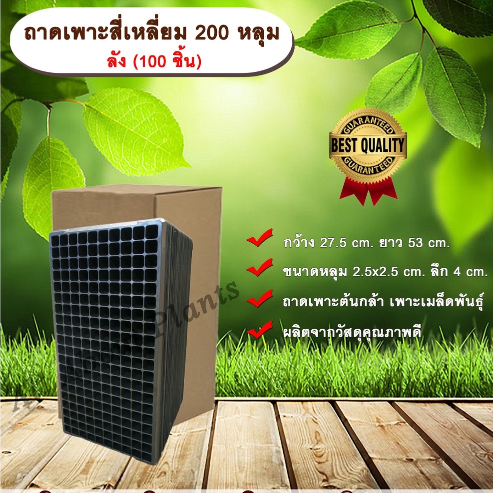 ถาดเพาะสี่เหลี่ยม 200 หลุม ลัง (100 ชิ้น) ถาดเพาะต้นกล้า ถาดเพาะเมล็ดพันธุ์ ขนาด 200 หลุม allaboutpl
