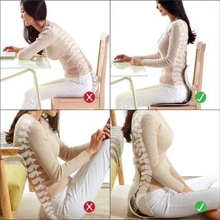 Ergotrend เบาะรองนั่งปรับท่านั่งรุ่นคอมบิ Combi-Chair Sitting Posture Support