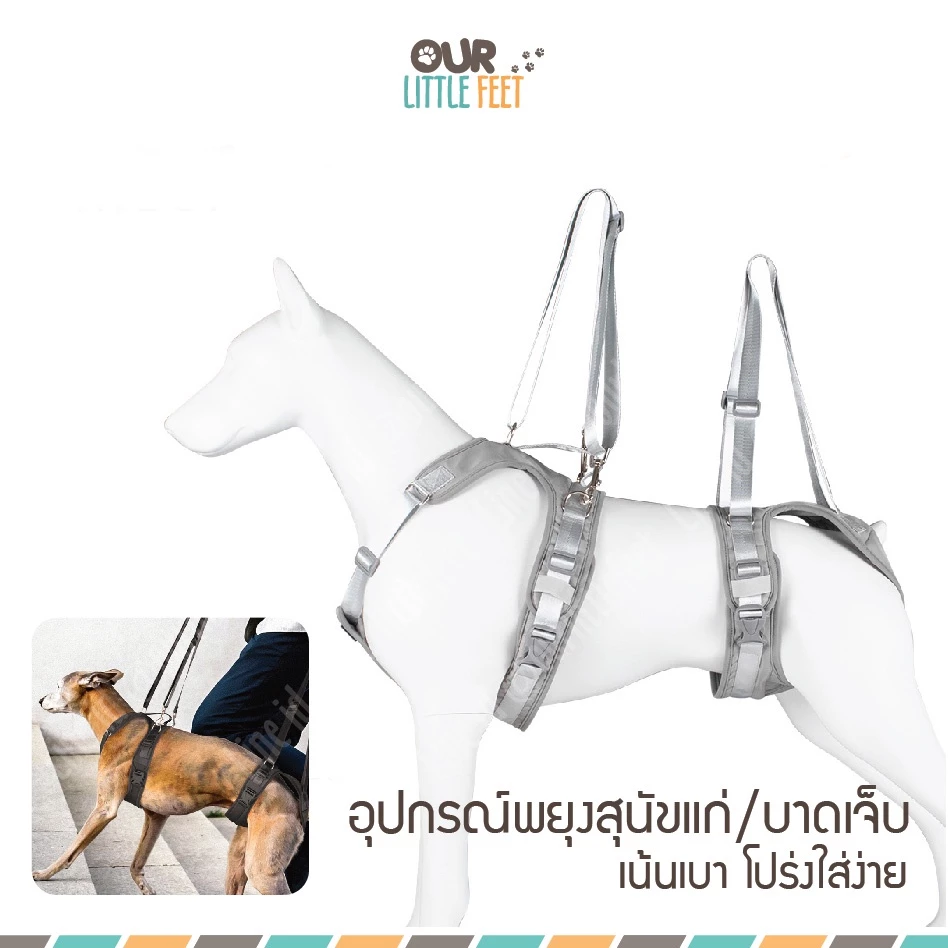 ผ้าพยุงสุนัขหน้า - หลัง รุ่น Tail UP