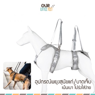 อุปกรณ์พยุงสุนัข Tail Up สุนัขแก่ สุนัขบาดเจ็บ ผ้าน้ำหนักเบา