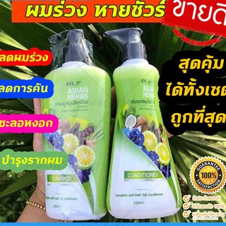 WazchiShop แชมพู+ครีมนวด สมุนไพร 4YL สูตรมะกรูด สำหรับผมมัน รักษาผมร่วง ผมบาง ผมแห้งเสียชี้ฟู หัวล้านหงอกก่อนวัย