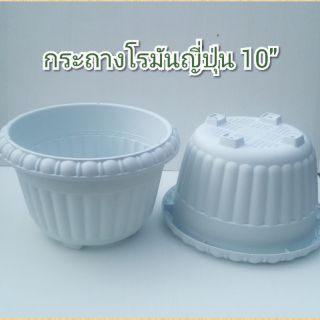 กระถางโรมันญี่ปุ่น ทรงเตี้ย 10"