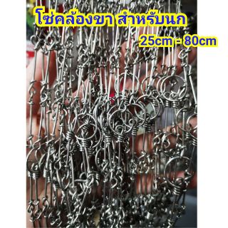 โซ่คล้องขา สำหรับนก ขนาดเล็ก-ใหญ่