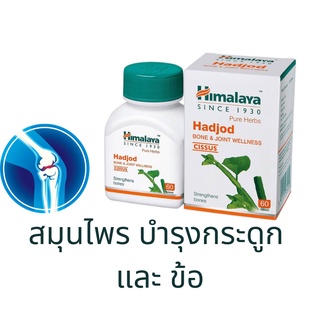 Himalaya Hadjod สมุนไพรบำรุงกระดูก และ ข้อ