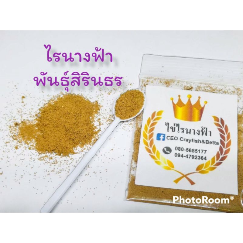 ไข่ไรนางฟ้าสิรินธรและไทย ​ค่าส่งถูก, ส่งทุกวัน ไร​น้ำ​จืด​ อาหารสดอนุบาลลูกปลาอัตราการรอดสูง