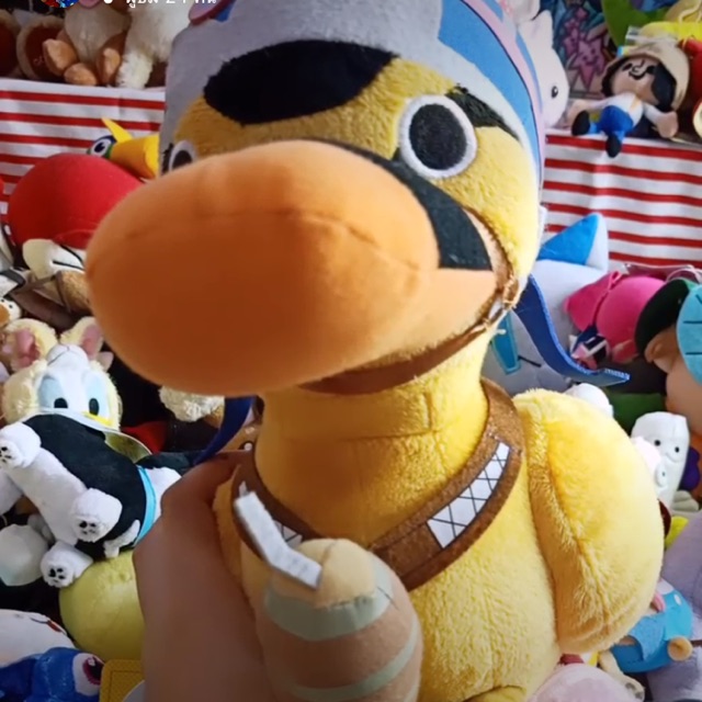 pig.ber.............