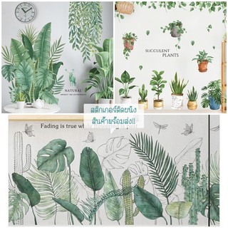 [Sticker DIY] Nordic Plants พืชใบเขตร้อนสไตล์นอร์ดิก สติ๊กเกอร์ติดผนัง 🌸