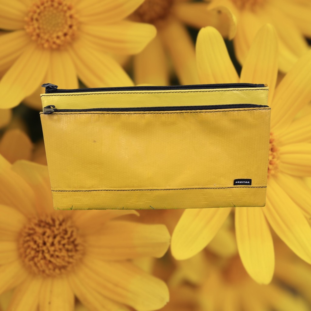 🌼🍃 F271 • MASIKURA DAISIES 🌼🍃