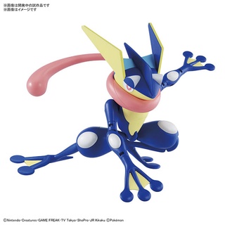 Pokepla Plamo collection 47 Greninja