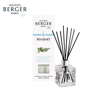 Maison berger paris,Fresh Eucalyptus Scented Bouquet,ก้านกระจายความหอมกลิ่นยูคาลิปตัส,บ้านหอมกลิ่นสดชื่น,reed diffuser,h