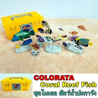 COLORATA โมเดลชุดสัตว์น้ำปะการัง