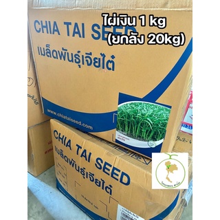 ผักบุ้งใบไผ่ เรียวไผ่ เจียไต๋ (1kg)💥ยกลังสุดคุ้มใช้เพาะต้นอ่อนได้ดี