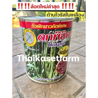 ถั่วฝักยาว ดกพิจิตร(คัดพิเศษ500กรัม)💥ล้อตใหม่ล่าสุด💥ดกมากตลาดต้องการ‼️