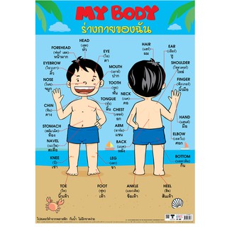 โปสเตอร์เรื่องร่างกายของฉัน My Body #EP-507 โปสเตอร์ PP