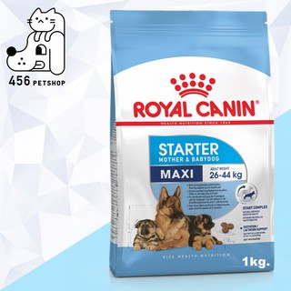 ❤ [Ex01/24] Royal Canin 1kg. Maxi Starter อาหารสุนัข สูตรสำหรับสุนัขพันธุ์ใหญ่ตั้งท้อง ถึง ให้นม และลูกสุนัข 🐩🐕🍼