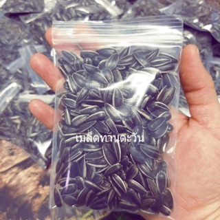 เมล็ดทานตะวันปลูก พันธุ์ไทย🌻🌻120-150 เม็ด คัดสรรคมาอย่างดี เผื่อให้ได้เมล็ดที่สมบูรณ์ เผื่อปลูกเป็นต้นที่เเข็งเเรง