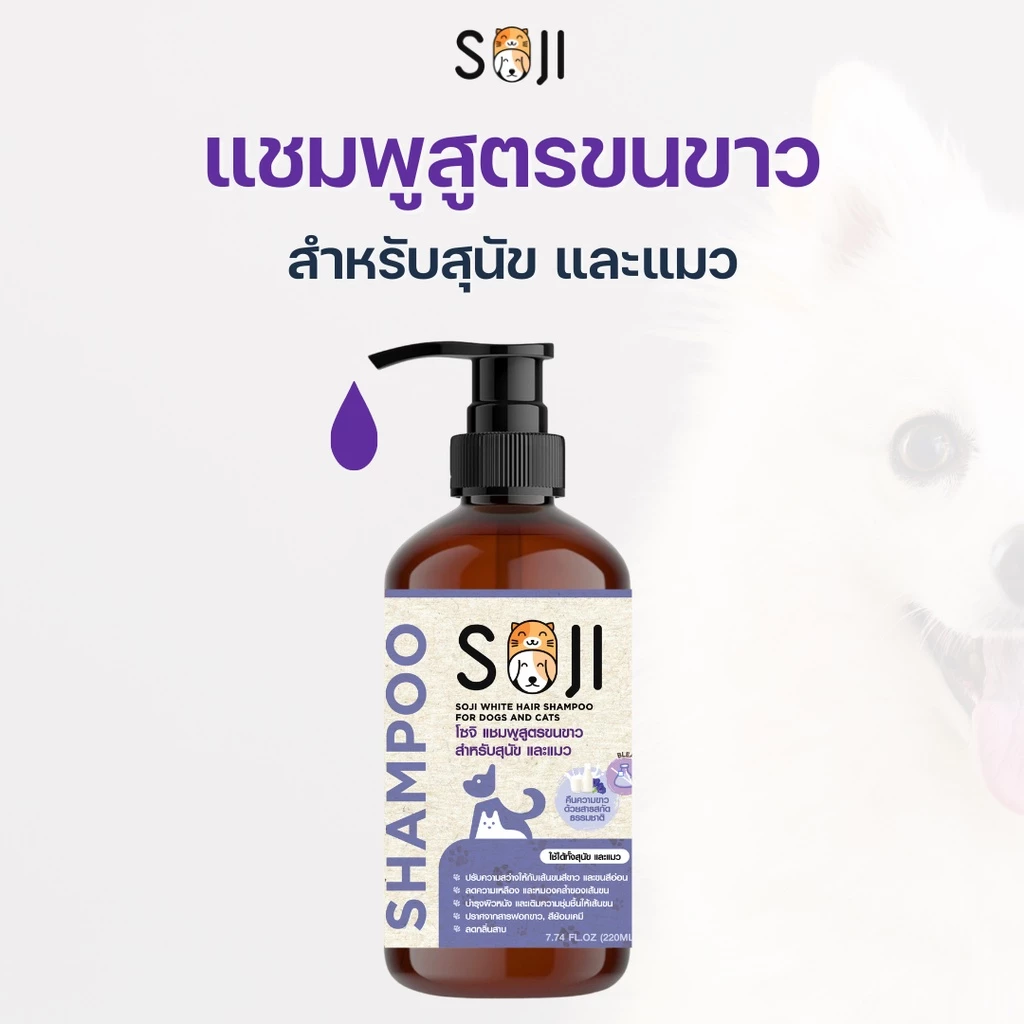 ใหม่‼️⭐️ขนขาว⭐️ SOJI แชมพูสูตรขนขาว เป็นพิเศษ สุนัข และแมว White hair shampoo ขจัดคราบเหลือง/คราบหมอง ไม่ใช้สารฟอกขาว
