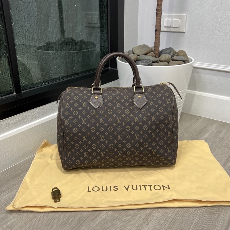 lv speedy minilin size 30 bag