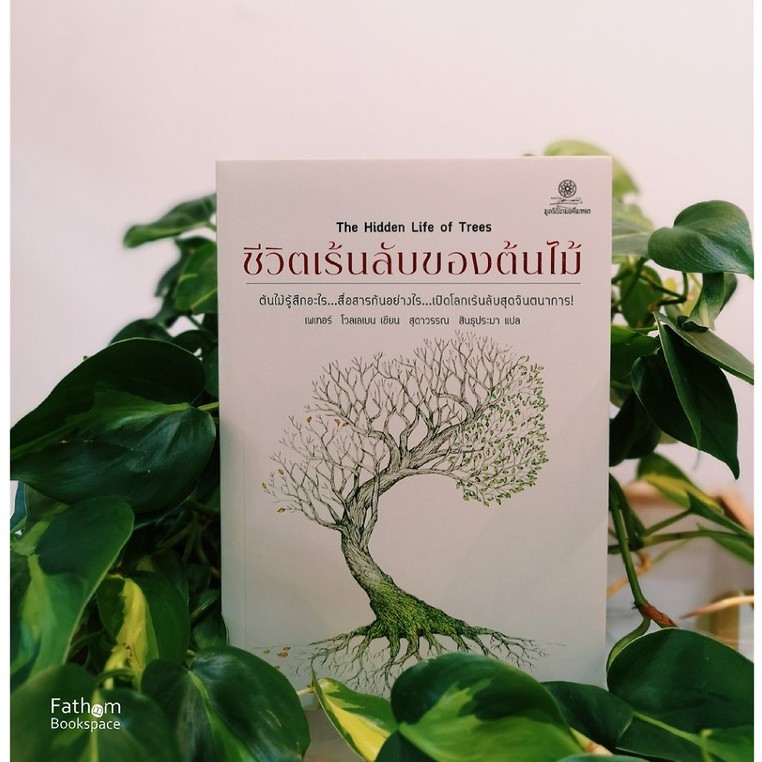 Fathom_ (พิมพ์4) ชีวิตเร้นลับของต้นไม้ The Hidden Life of Trees ต้นไม้รู้สึก.สื่อสารอย่างไร / เพเทอร์ โวลเลเบน