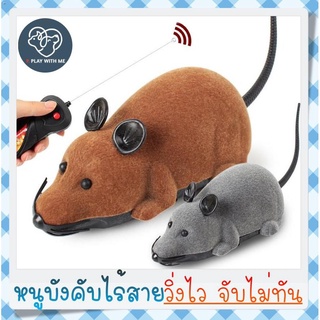 ✅ พร้อมส่ง ✅ หนูบังคับ ไร้สาย มีรีโมทคอนโทรล ตุ๊กตาหนูบังคับ ใส่ถ่าน หนูของเล่น หนูปลอม ของเล่นแมว ของเล่นสัตว์เลี้ยง