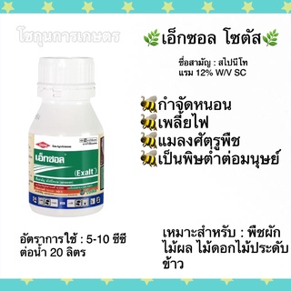 เอ็กซอล “สไปนีโทแรม”  ขนาด 250 มล. ตราโซตัส จุดจบหนอนร้าย และเพลี้ยดื้อยา