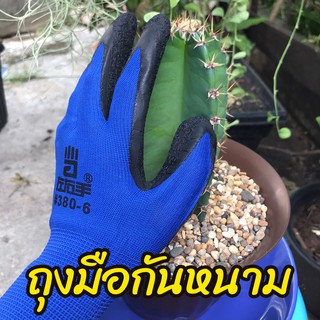 ถุงมือทำสวน กันหนาม 🌵 ปลูกกระบองเพชร กันหนามแคคตัส หนามชะอม กันน้ำกันลื่น สีน้ำเงิน