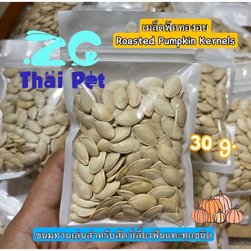 [ZC] เมล็ดฟักทองอบ Roasted Pumpkin Kernels 🎃 ขนมทานเล่นสำหรับสัตว์เลี้ยงฟันแทะทุกชนิด ขนาด 30 g.