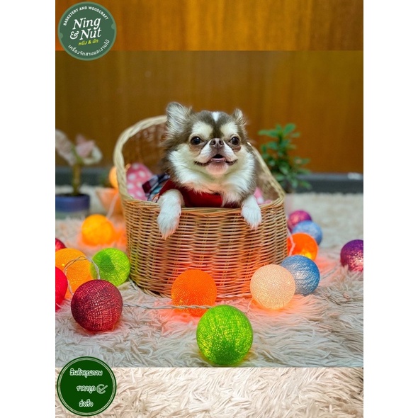 🛌ตะกร้าที่นอนแมวหวาย ทรงรองเท้ายักษ์ สานสวยงามแข็งแรง - รูปที่ 7