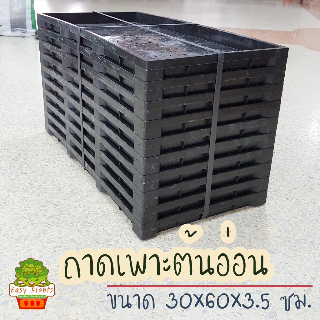 Best saller ถาดเพาะต้นอ่อน ถาดเพาะต้นกล้า (ถาด 1