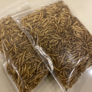 หนอนนกอบแห้ง (20g) หนอนนก Dried Mealworms เหมาะสำหรับชูการ์ไกลเดอร์, กระรอก, เม่น, แพรีด็อก แฮมเตอร์ และสัตว์เลื