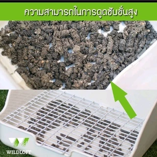 CatHoliday ไวล์ดลอฟ ขี้เลื่อยอัดแท่ง ขนาด 4 ลิตร Wildloft Activated Charcoal ขี้เลื่อยอัดแท่งไม้สน ขี้เลื่อยชาร์โคล