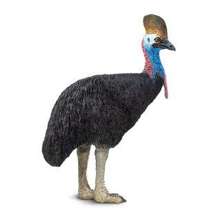 Safari Ltd. : SFR225429 โมเดลนกแคสโซแวรี Cassowary