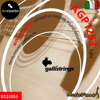 GalliStrings สายกีตาร์โปร่งเคลือบกันสนิม galli Coated Phosphor Bronze รุ่น AGP