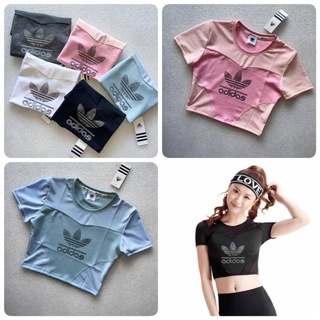 เสื้อกีฬาหญิง เสื้อคอป มี 5 สี