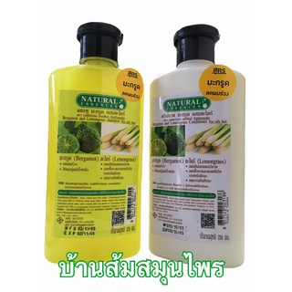 แชมพู และครีมนวดผม มะกรูด ผสมตะไคร้ natural essence350ml