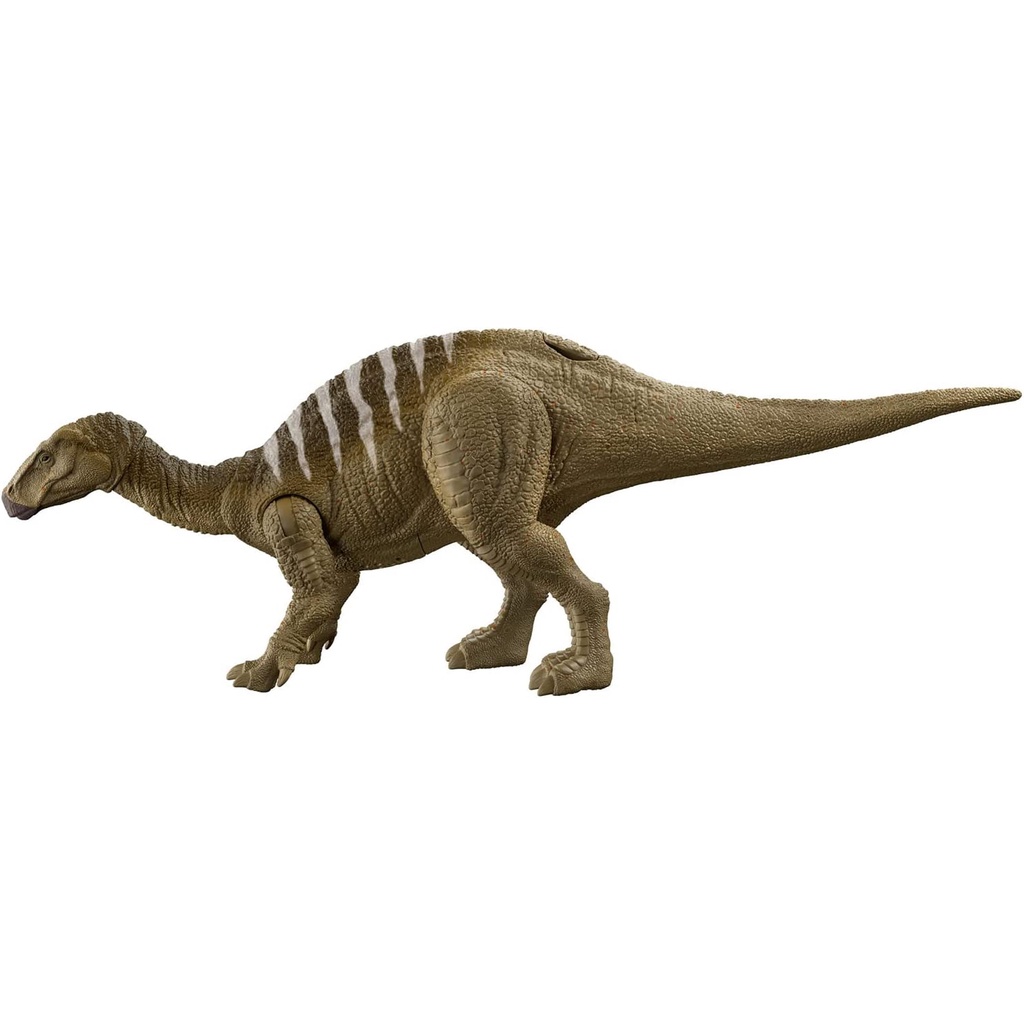 **MTS Toys**Mattel Jurassic World Dominion Roar Strikers : HDX41 Iguanodon [ความยาวจากหัวถึงหาง 30 ซ