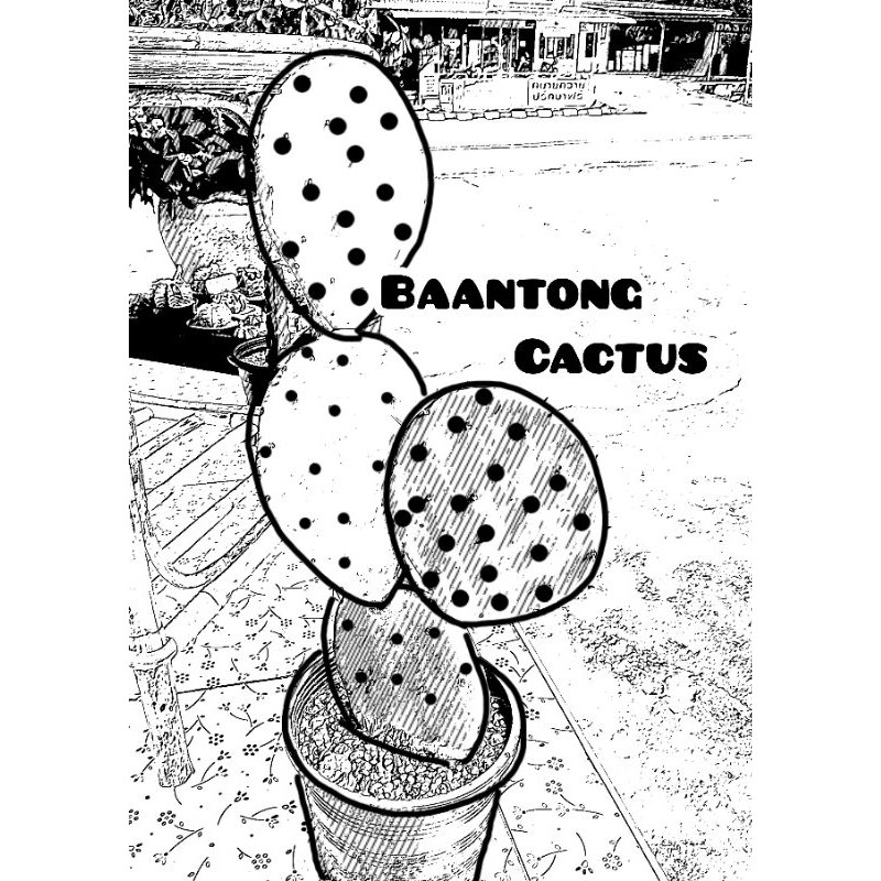 โอพันเทีย โรบัสต้า ไจแอนท์ opuntia robusta giant