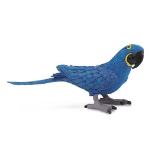 Safari Ltd. : SFR264229 โมเดลสัตว์ Hyacinth Macaw