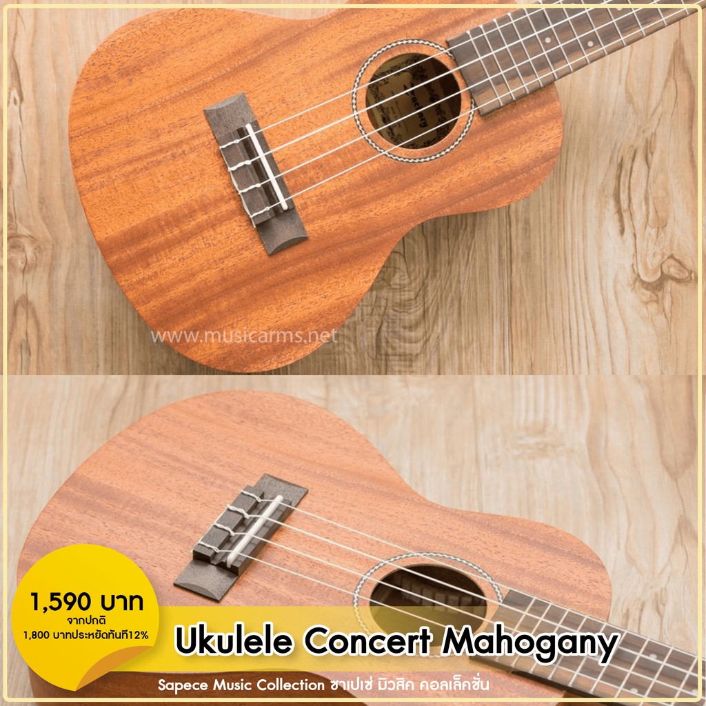 Ukulele Concert Mahogany consent2015 ThaiPick